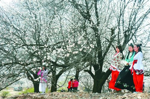 CCTV5足球在线直播